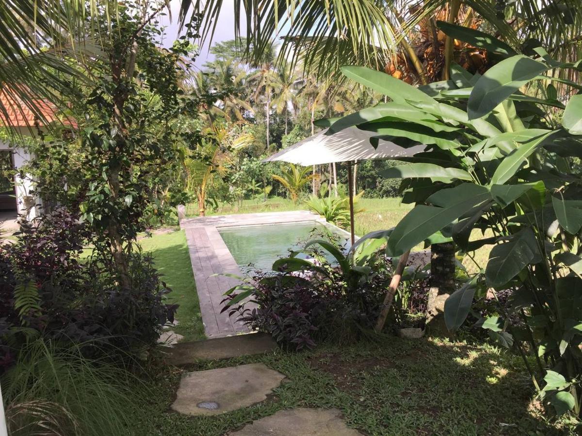 Uma Mupu Retreat Villa Gianyar  Exterior photo