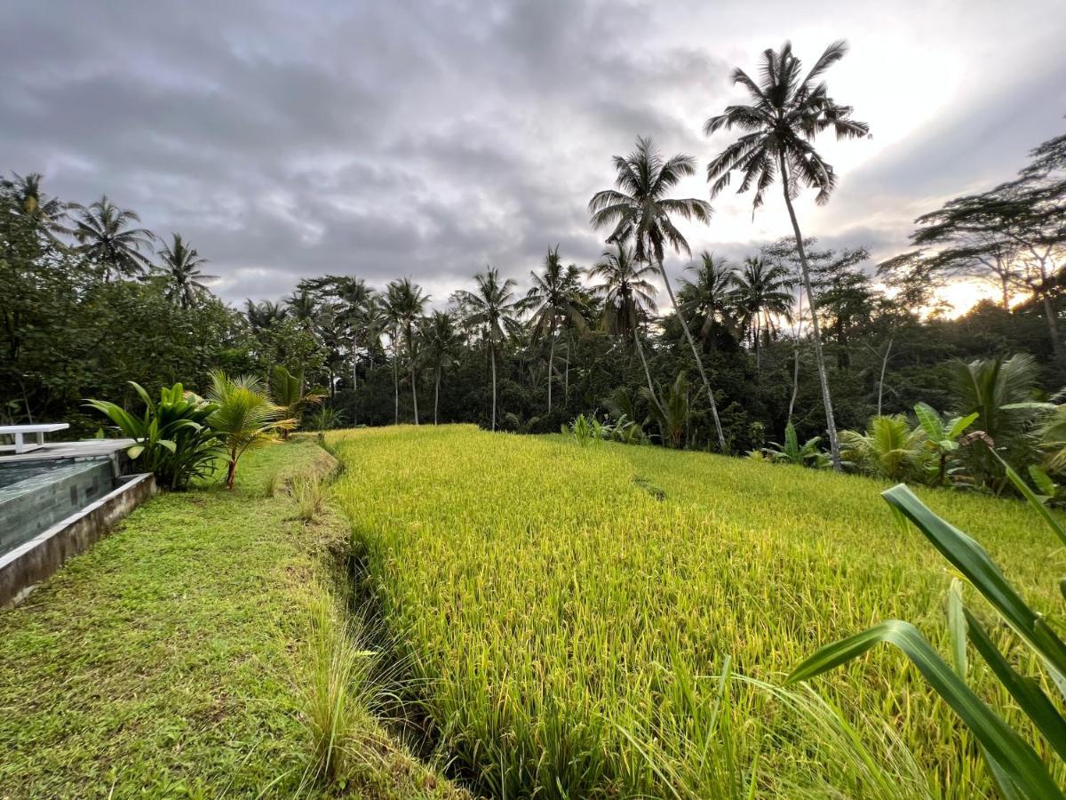 Uma Mupu Retreat Villa Gianyar  Exterior photo