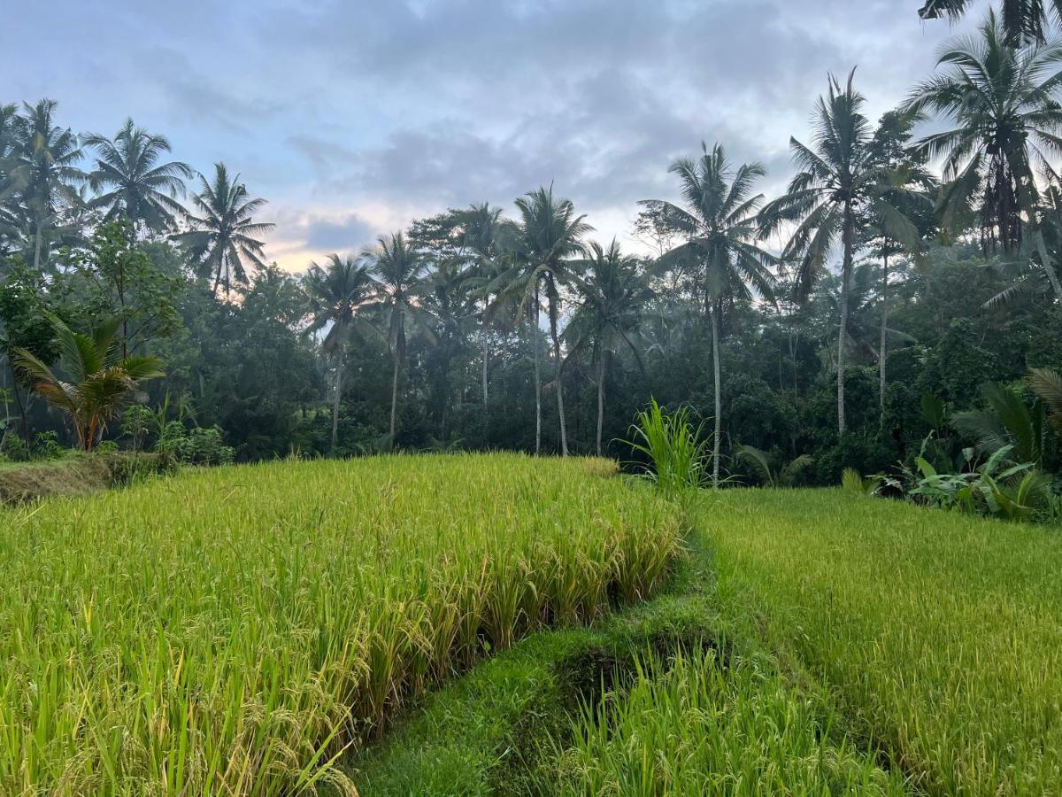 Uma Mupu Retreat Villa Gianyar  Exterior photo